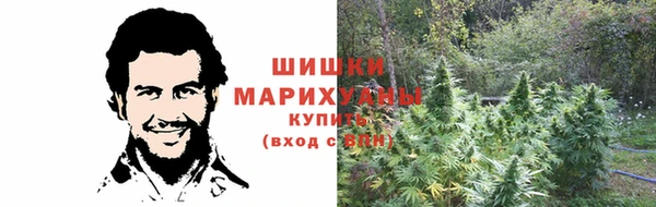 хмурый Белокуриха