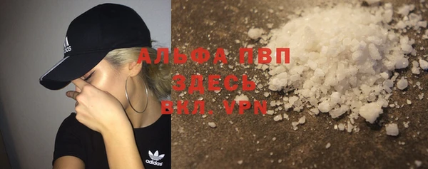 хмурый Белокуриха