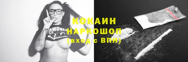 хмурый Белокуриха