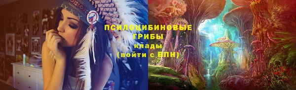 мет Богданович