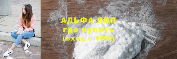 хмурый Белокуриха